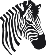 Zebra PNG image-8971